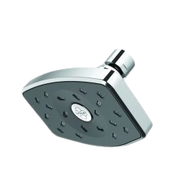 Satinjet® Waipori Showerhead